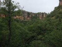 /album/fotogaleria/campo-1-jpg/